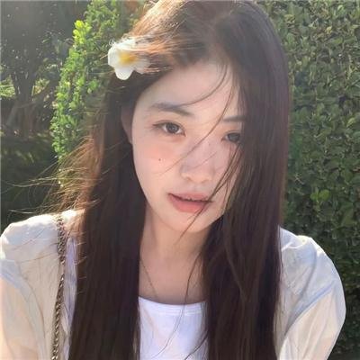 忍冬玫瑰